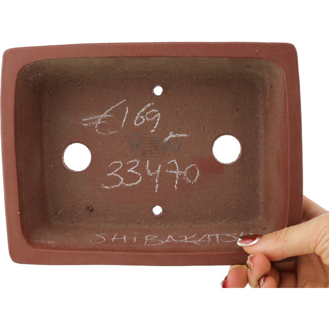 Rectangular unglazed bonsai pot by Shibakatsu - 190 x 142 x 50 mm