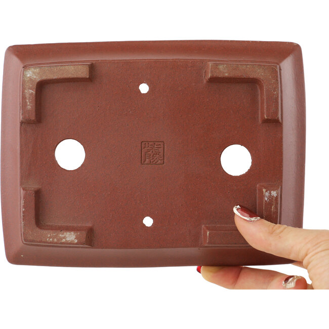 Pot à bonsaï rectangulaire non émaillé de Shibakatsu - 190 x 142 x 50 mm