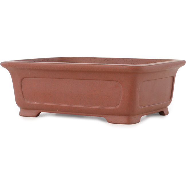 Pot à bonsaï rectangulaire non émaillé de Shibakatsu - 198 x 152 x 68 mm