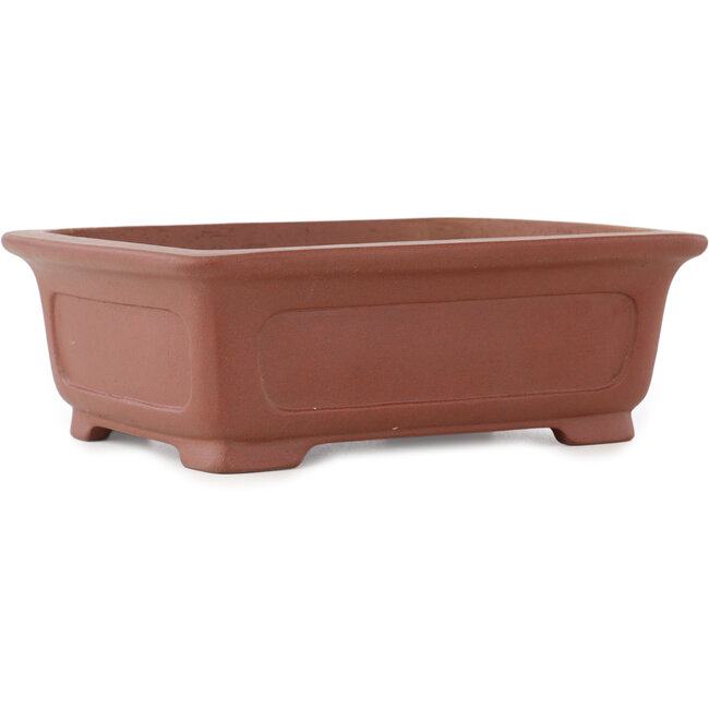 Vaso bonsai rettangolare non smaltato di Shibakatsu - 198 x 152 x 68 mm