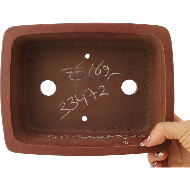 Pot à bonsaï rectangulaire non émaillé de Shibakatsu - 198 x 152 x 68 mm