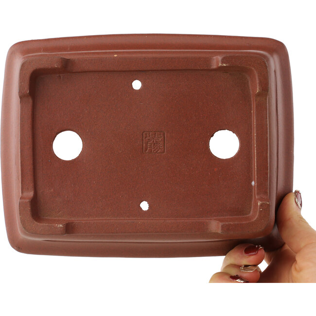 Pot à bonsaï rectangulaire non émaillé de Shibakatsu - 198 x 152 x 68 mm