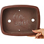 Pot à bonsaï rectangulaire non émaillé de Shibakatsu - 225 x 175 x 55 mm