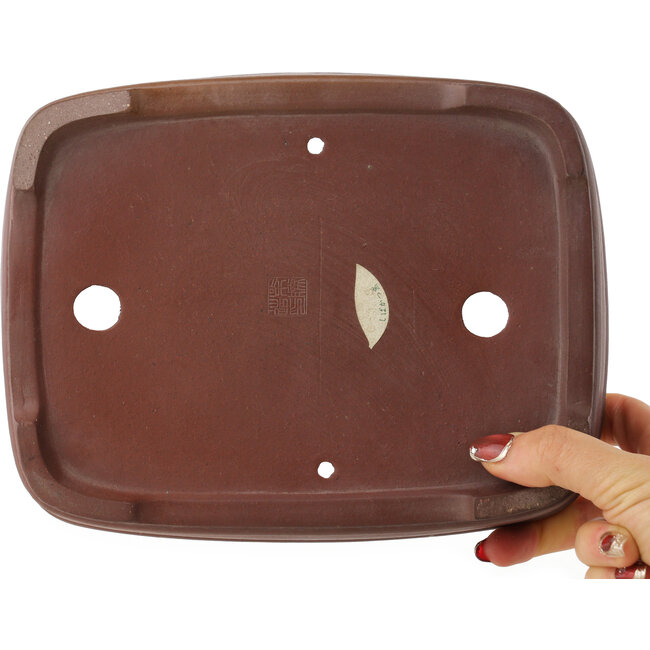 Maceta rectangular sin esmaltar para bonsái de Shibakatsu - 225 x 175 x 55 mm