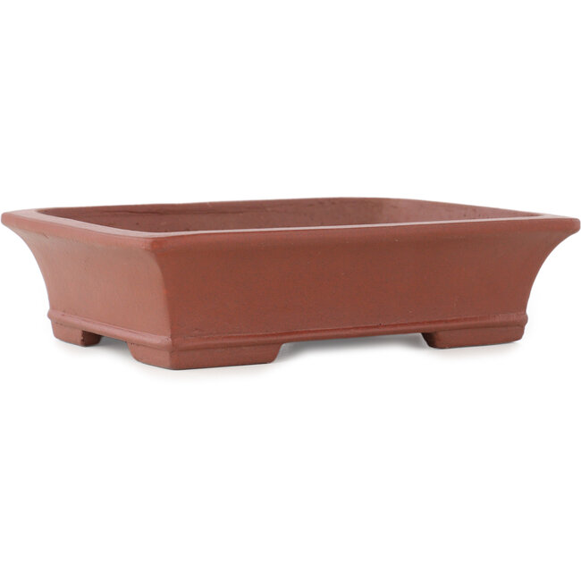 Vaso bonsai rettangolare non smaltato di Shibakatsu - 193 x 146 x 50 mm