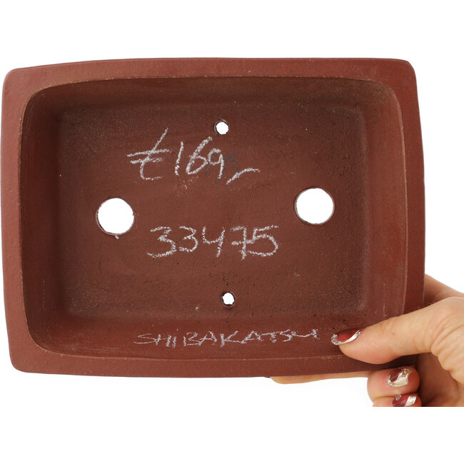 Maceta rectangular sin esmaltar para bonsái de Shibakatsu - 193 x 146 x 50 mm