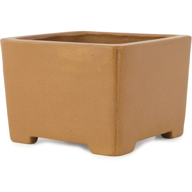 Pot à bonsaï carré non émaillé de Shibakatsu - 125 x 125 x 87 mm