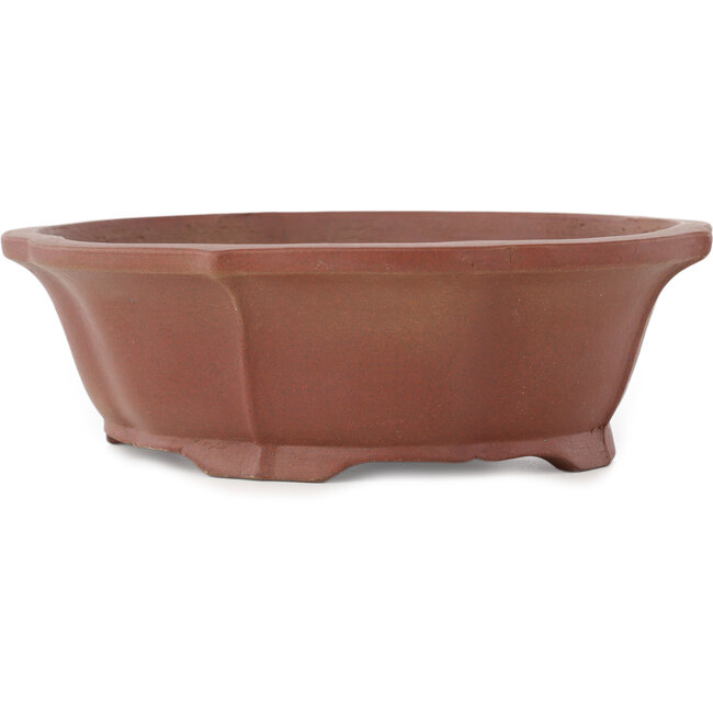 Maceta para bonsái sin esmaltar con forma de loto de Shibakatsu - 195 x 175 x 60 mm