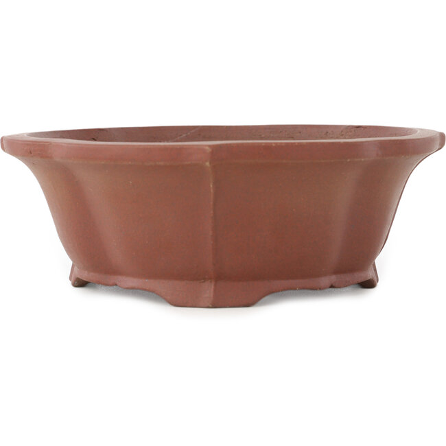 Maceta para bonsái sin esmaltar con forma de loto de Shibakatsu - 195 x 175 x 60 mm