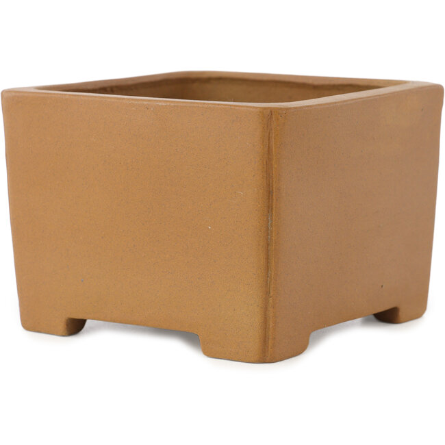 Square unglazed bonsai pot by Shibakatsu - 125 x 125 x 87 mm