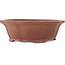 Pot à bonsaï Lotus non émaillé par Shibakatsu - 195 x 175 x 60 mm