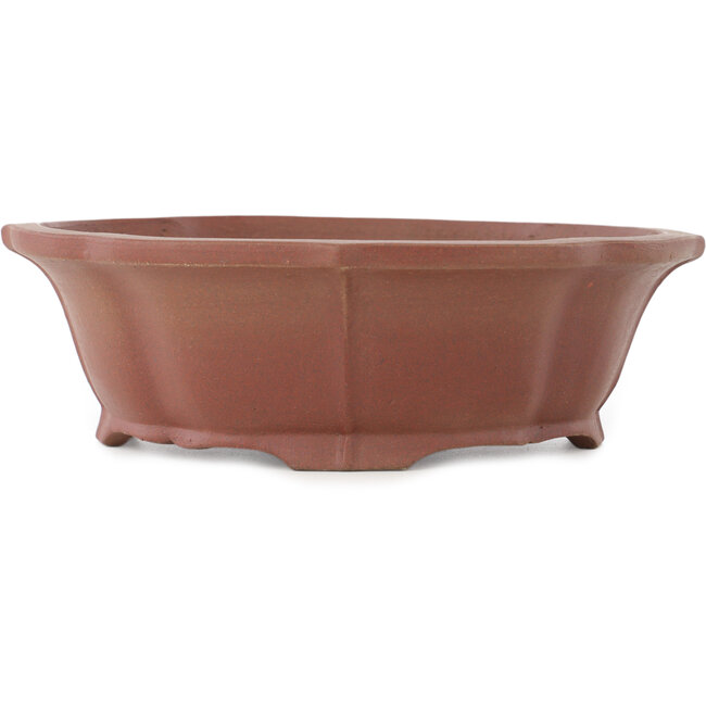 Lotus ongeglazuurde bonsai pot van Shibakatsu - 195 x 175 x 60 mm