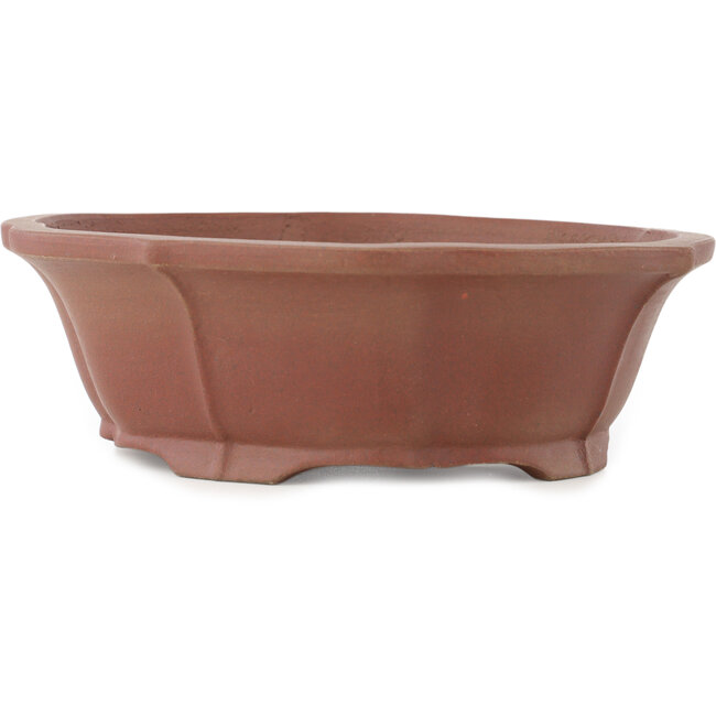 Lotus ongeglazuurde bonsai pot van Shibakatsu - 195 x 175 x 60 mm