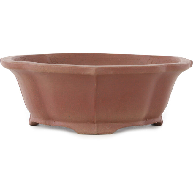 Pot à bonsaï Lotus non émaillé par Shibakatsu - 195 x 175 x 60 mm