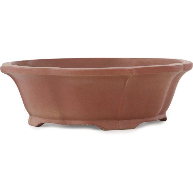 Maceta para bonsái sin esmaltar con forma de loto de Shibakatsu - 195 x 175 x 60 mm