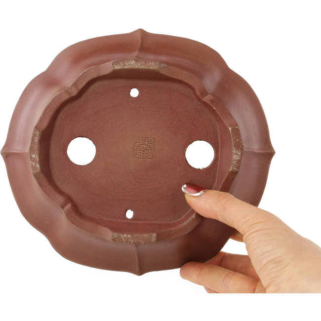 Maceta para bonsái sin esmaltar con forma de loto de Shibakatsu - 195 x 175 x 60 mm