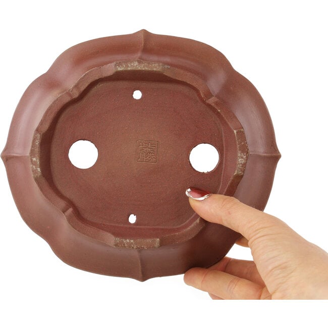 Unglasierter Lotus-Bonsai-Topf von Shibakatsu - 195 x 175 x 60 mm