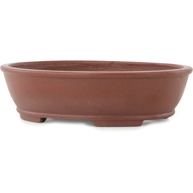 Pot à bonsaï ovale non émaillé de Shibakatsu - 183 x 155 x 50 mm