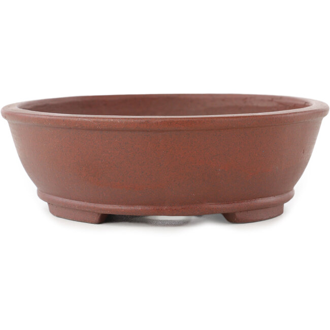 Maceta para bonsái ovalada sin esmaltar de Shibakatsu - 183 x 155 x 50 mm