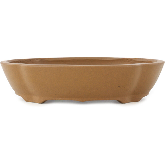 Vaso bonsai Mokko non smaltato di Shibakatsu - 187 x 170 x 43 mm