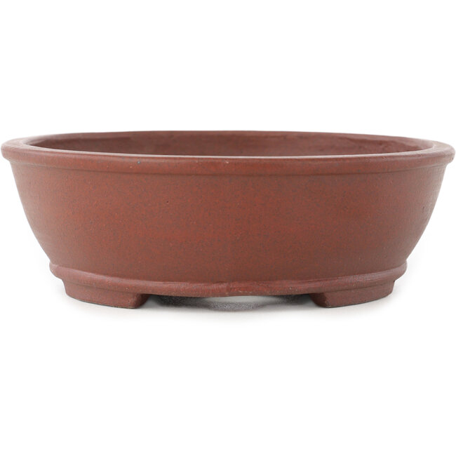 Pot à bonsaï ovale non émaillé de Shibakatsu - 183 x 155 x 50 mm