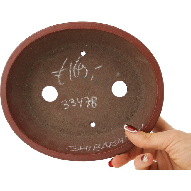 Pot à bonsaï ovale non émaillé de Shibakatsu - 183 x 155 x 50 mm
