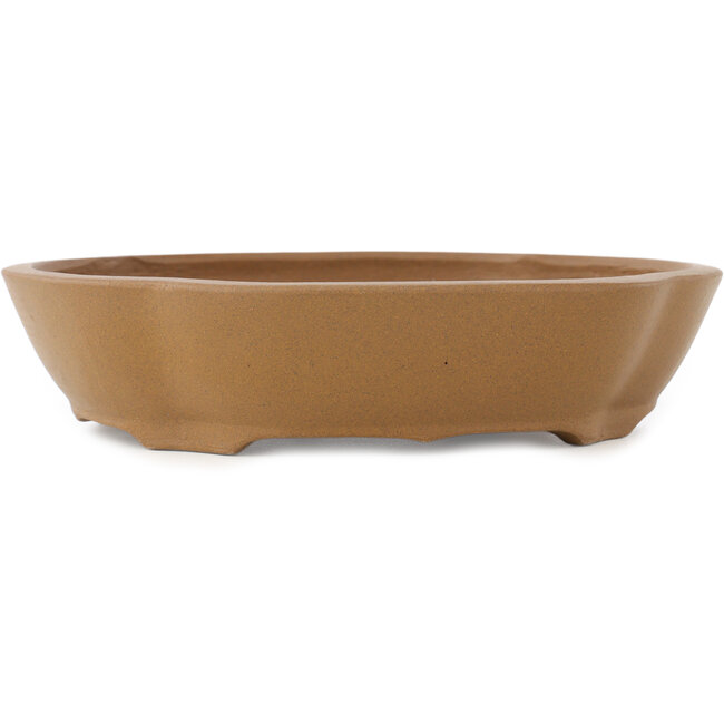 Maceta para bonsái sin esmaltar Mokko de Shibakatsu - 187 x 170 x 43 mm