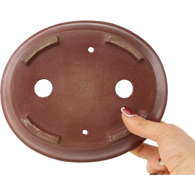 Maceta para bonsái ovalada sin esmaltar de Shibakatsu - 183 x 155 x 50 mm