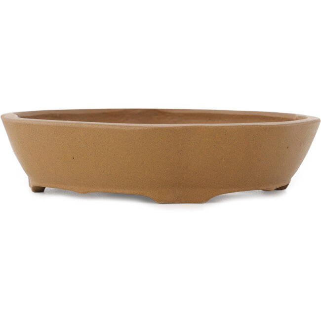 Maceta para bonsái sin esmaltar Mokko de Shibakatsu - 187 x 170 x 43 mm