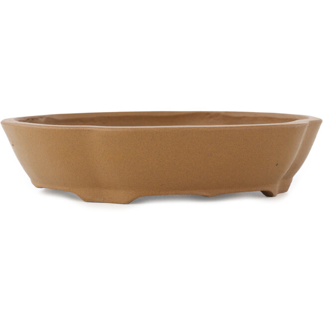 Pot à bonsaï non émaillé Mokko de Shibakatsu - 187 x 170 x 43 mm