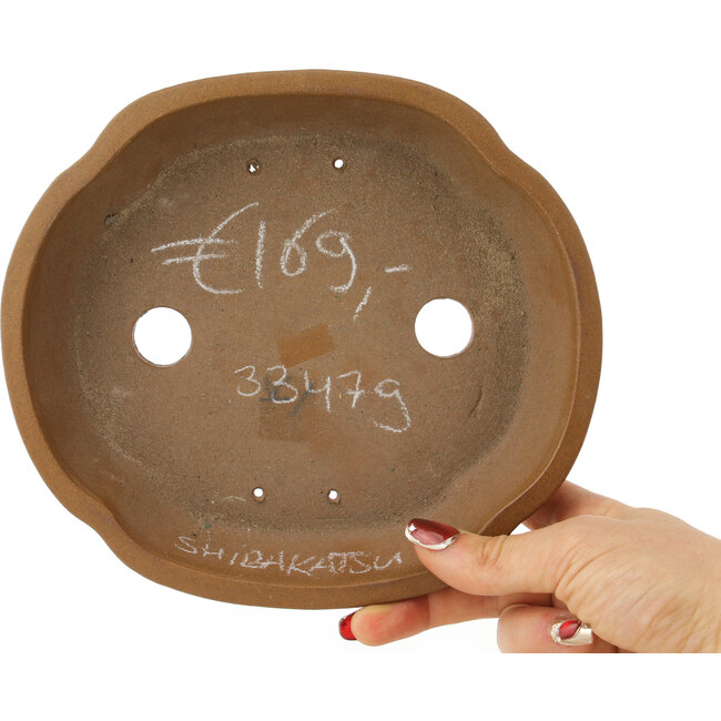 Vaso bonsai Mokko non smaltato di Shibakatsu - 187 x 170 x 43 mm