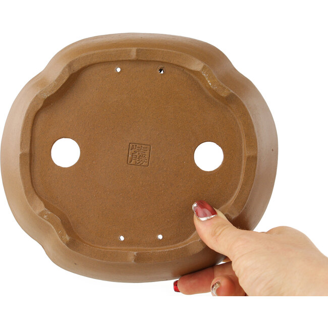 Maceta para bonsái sin esmaltar Mokko de Shibakatsu - 187 x 170 x 43 mm