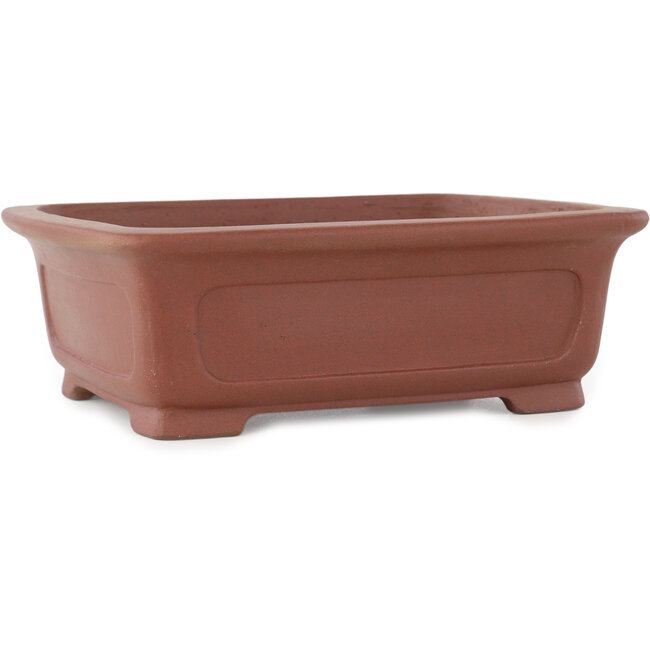 Pot à bonsaï rectangulaire non émaillé de Shibakatsu - 199 x 150 x 67 mm