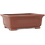 Maceta rectangular sin esmaltar para bonsái de Shibakatsu - 199 x 150 x 67 mm