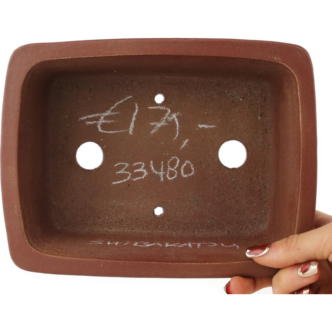 Pot à bonsaï rectangulaire non émaillé de Shibakatsu - 199 x 150 x 67 mm