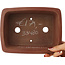 Maceta rectangular sin esmaltar para bonsái de Shibakatsu - 199 x 150 x 67 mm