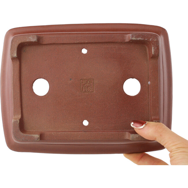 Pot à bonsaï rectangulaire non émaillé de Shibakatsu - 199 x 150 x 67 mm