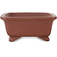 Maceta rectangular sin esmaltar para bonsái de Shibakatsu - 185 x 155 x 65 mm
