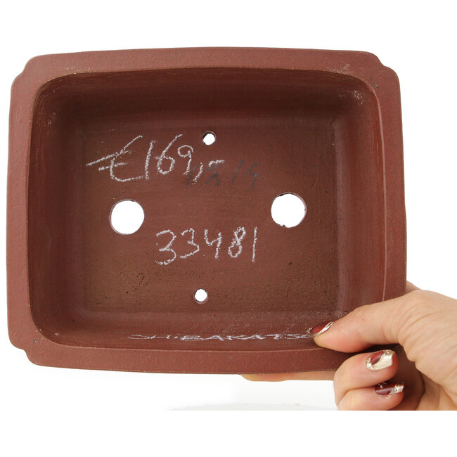 Maceta rectangular sin esmaltar para bonsái de Shibakatsu - 185 x 155 x 65 mm