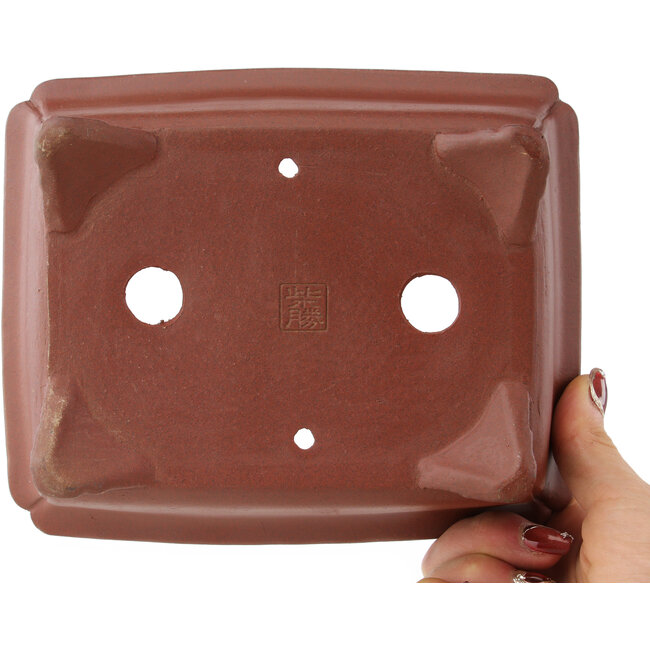 Pot à bonsaï rectangulaire non émaillé de Shibakatsu - 185 x 155 x 65 mm