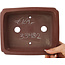 Pot à bonsaï rectangulaire non émaillé de Shibakatsu - 185 x 150 x 55 mm