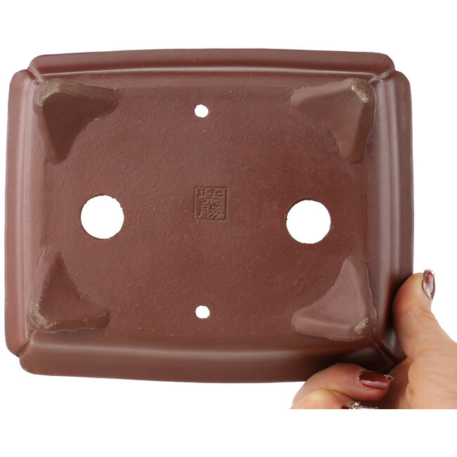 Rectangular unglazed bonsai pot by Shibakatsu - 185 x 150 x 55 mm