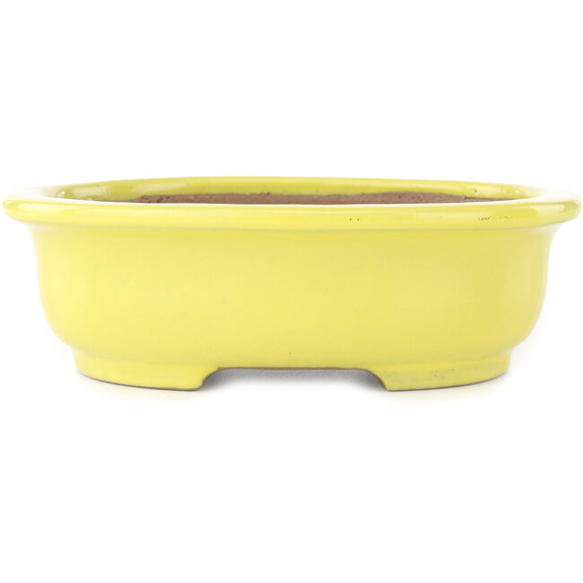 Pot à bonsaï ovale jaune de Yamafusa - 187 x 153 x 55 mm
