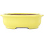 Pot à bonsaï ovale jaune de Yamafusa - 187 x 153 x 55 mm