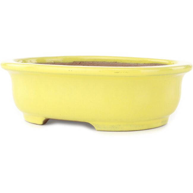 Ovale gele bonsai pot van Yamafusa - 187 x 153 x 55 mm