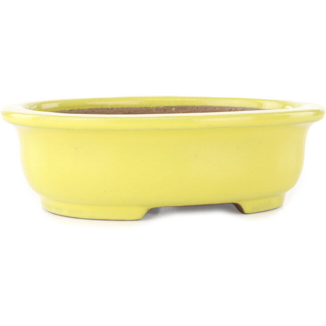 Ovale gele bonsai pot van Yamafusa - 187 x 153 x 55 mm