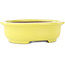 Pot à bonsaï ovale jaune de Yamafusa - 187 x 153 x 55 mm