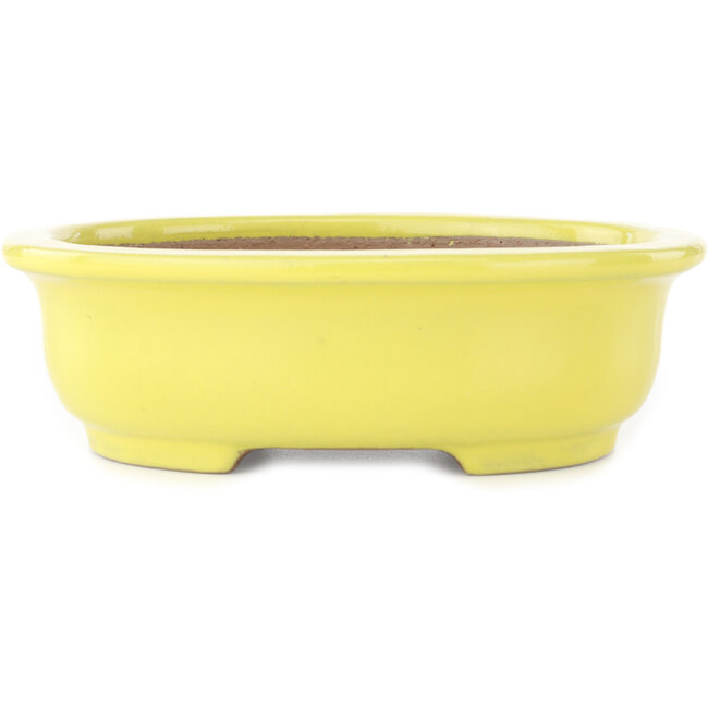Vaso bonsai ovale giallo di Yamafusa - 187 x 153 x 55 mm