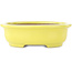 Pot à bonsaï ovale jaune de Yamafusa - 187 x 153 x 55 mm