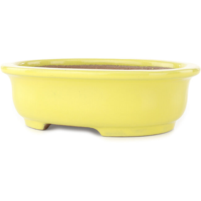 Ovale gele bonsai pot van Yamafusa - 187 x 153 x 55 mm